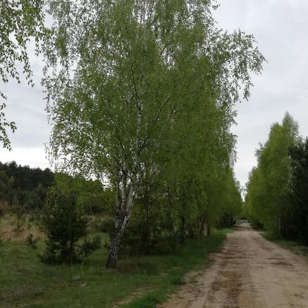 Szydlowiec Anastazewo Esterno foto