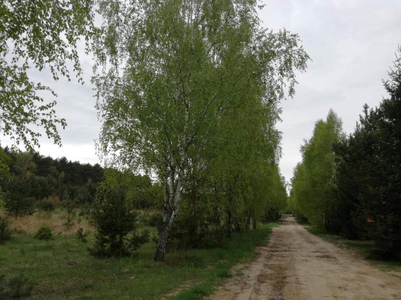Szydlowiec Anastazewo Esterno foto